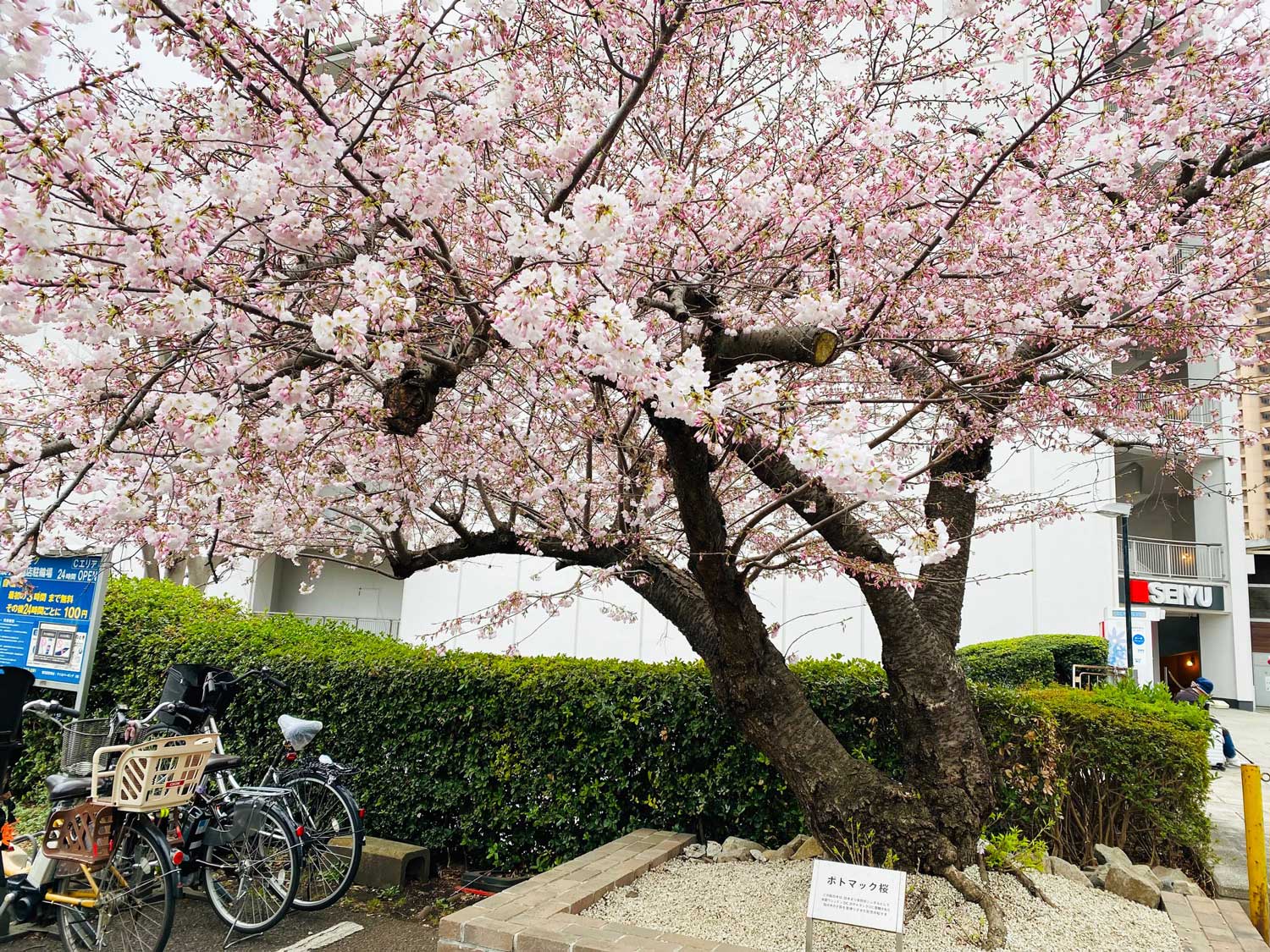 住協の住まい情報｜物件・住宅・不動産情報